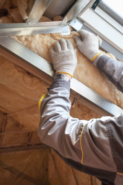 Professional Insulation Installation & Removal in Caledonia, WI